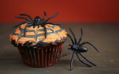 Spinnennetz-Schoko-Cupcakes
